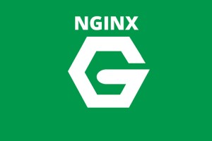 nginx-9